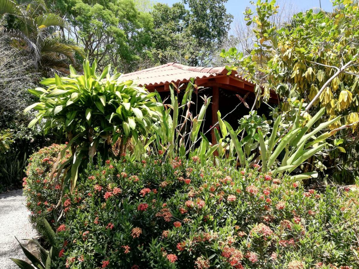 Mundo Goub'Art Bed and Breakfast Cabuya  Buitenkant foto