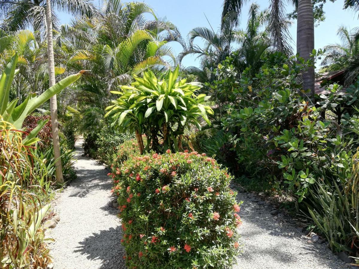 Mundo Goub'Art Bed and Breakfast Cabuya  Buitenkant foto