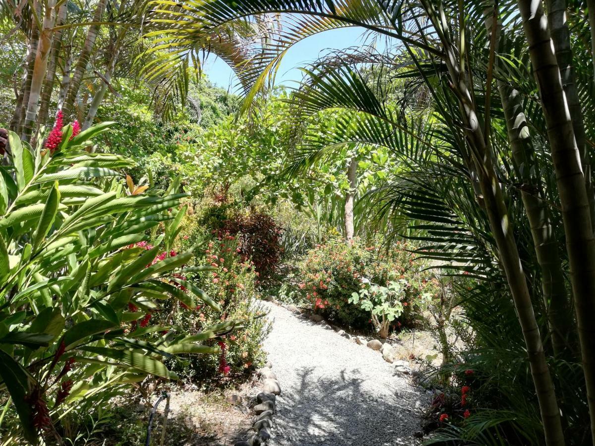 Mundo Goub'Art Bed and Breakfast Cabuya  Buitenkant foto