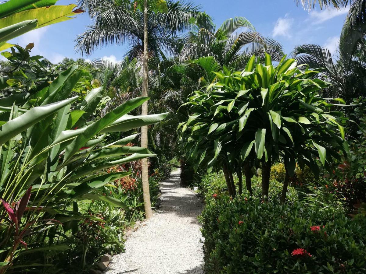 Mundo Goub'Art Bed and Breakfast Cabuya  Buitenkant foto
