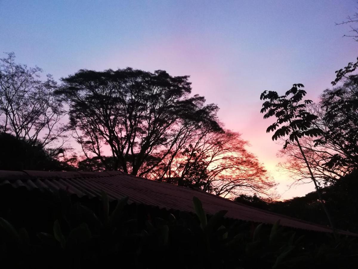 Mundo Goub'Art Bed and Breakfast Cabuya  Buitenkant foto
